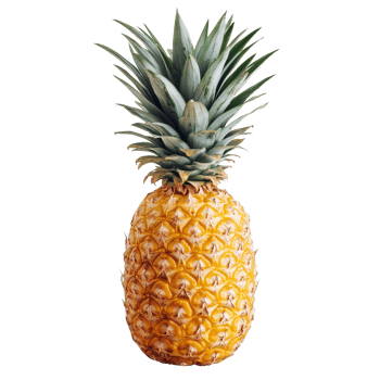 Fresh pineapple on a clear background, highlighting its vibrant color and green leaves on top, pineapple isolated on transperent png