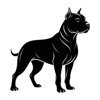 Confident pitbull standing with a strong focused gaze in bold silhouette vector