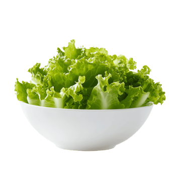 Fresh green frillies iceberg lettuce in a transparent bowl against a plain transparent background ready for healthy meals, green frillies iceberg lettuce in transparent bowl on transparent background png