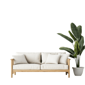 Stylish sofa and lush plant complementing a bright transparent interior design for modern living spaces, Sofa and plant on transparent background png