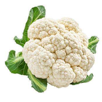 Freshly harvested cauliflower with vibrant green leaves isolated on a pure transparent background ready for culinary use, Cauliflower vegetables isolated on a transparent background png