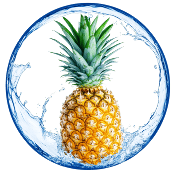 Fresh pineapple surrounded by a vibrant water splash in a circular shape against a transparent background, Pineapple with water splash in circle shape isolated png