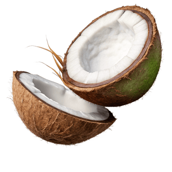 Fresh tropical coconut with a rich brown shell in mid-air on transparent background png