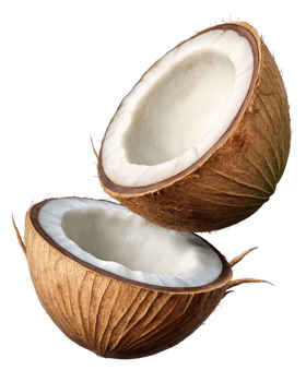 Suspended broken coconut isolated with realistic detail on transparent background png