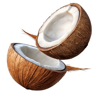 Flying coconut halves in a perfect composition on transparent background png