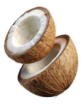 High-resolution flying coconut with rich texture on transparent background png