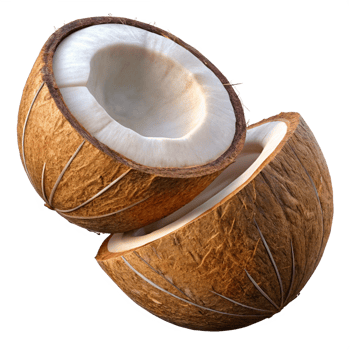 Split coconut suspended naturally in the air on transparent background png