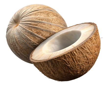 Perfectly sliced coconut halves in motion on transparent background png