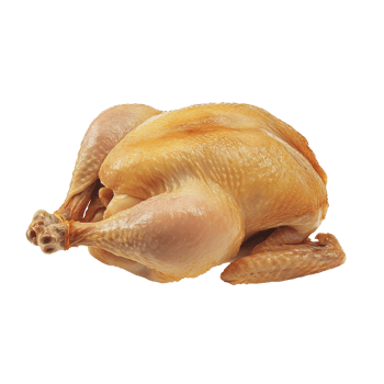 Freshly prepared whole raw chicken isolated on a transparent background ready for cooking or meal preparation, Isolated whole raw chicken png