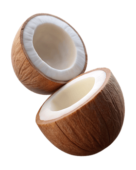 Cracked coconut captured dynamically on transparent background png
