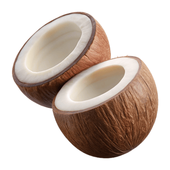Floating tropical coconut cut open on transparent background png