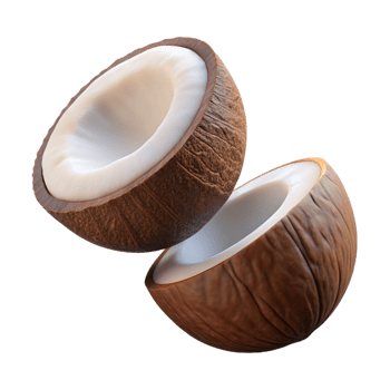 Fresh coconut with exposed interior flying on transparent background png