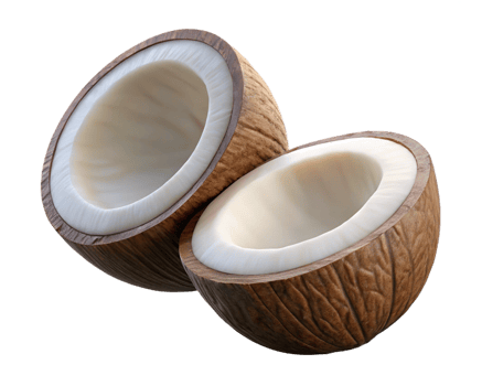 Airborne fresh coconut halves with rough shell on transparent background png