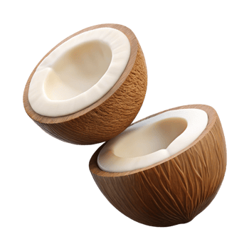 Broken coconut halves captured mid-air on transparent background png