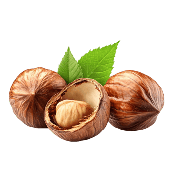 Hazelnuts with Leaves on Transparent Background png