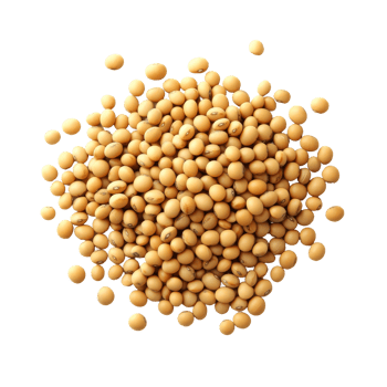 Soybean seeds scattered on a smooth transparent background showcasing natural texture and color, Soybeans seeds on transparent background png