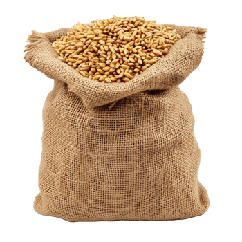 Burlap Sack Filled with Healthy Oats png