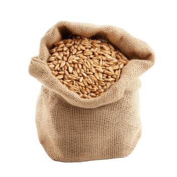 Burlap Sack Filled with Healthy Oats for Nutritious Meals and Snacks png