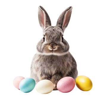 A funny bunny celebrating Easter with colorful eggs on a bright transparent background, funny bunny easter with eggs on transparent background png
