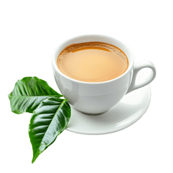 Ripe coffee nestled beside fresh green leaf on a smooth transparent background highlighting natural freshness, ripe coffee with leaf on transparent background png