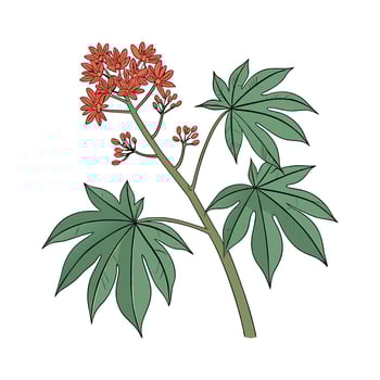 Botanical Lobster Plant on Bright White vector