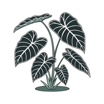 Elegant Alocasia on Bright White vector