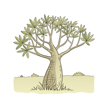 Stylish Euphorbia on Bright White vector