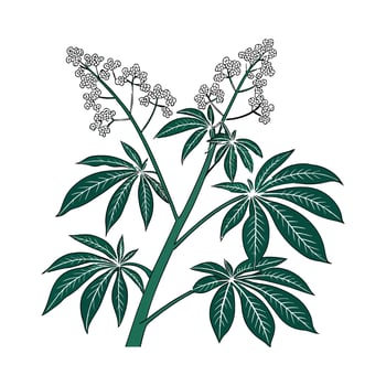 Artistic Aralia Plant Unique Illustration vector