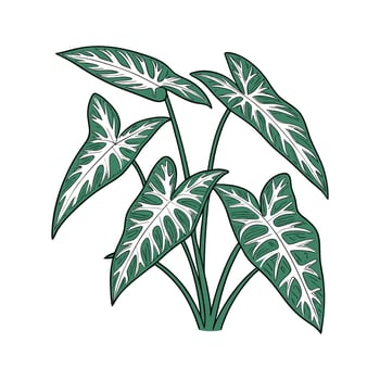 Stylish Arrowhead on White Canvas vector