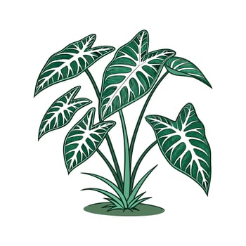 Elegant Arrowhead Display on White vector