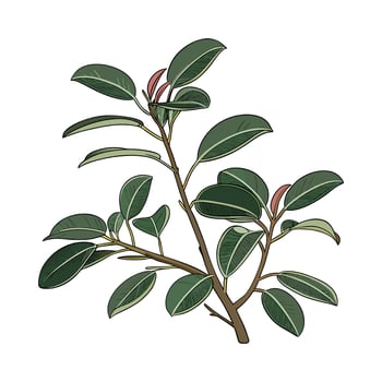 Cute Baby Rubber Plant Illustration Design vector