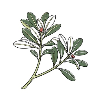 Vibrant Baby Rubber Plant on White vector