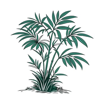 Elegant Bamboo Palm Plant Design for Decor vector