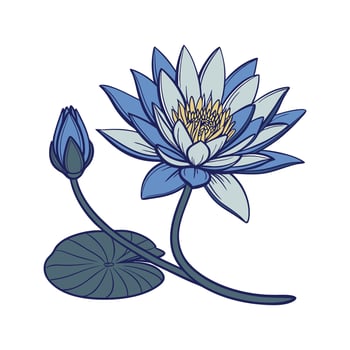 Elegant Blue Lotus Nymphaea Display on White vector