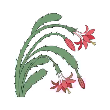 Elegant Christmas Cactus Design for Home vector
