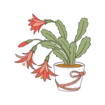 Charming Christmas Cactus Plant Design for Interiors vector