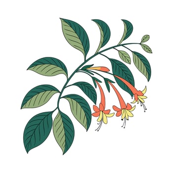 Vibrant Columnea Plant Design for Interiors vector