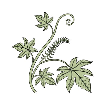 Elegant Corkscrew Plant Unique Design vector