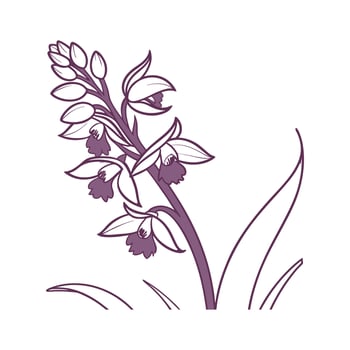 Charming Crossbill Orchid Plant vector