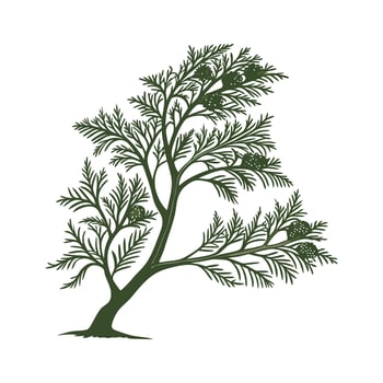Lush Cypress Plant on White vector