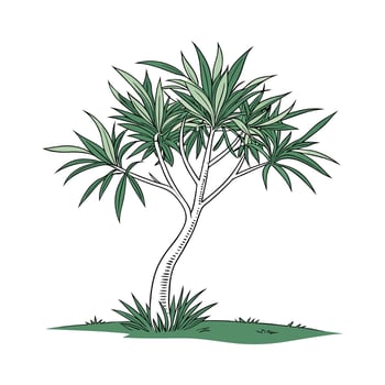 Beautiful Dracaena Plant Illustration vector