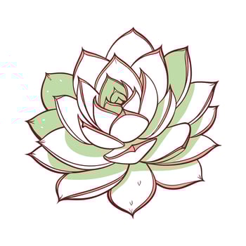 Vibrant Echeveria Agavoides Display vector