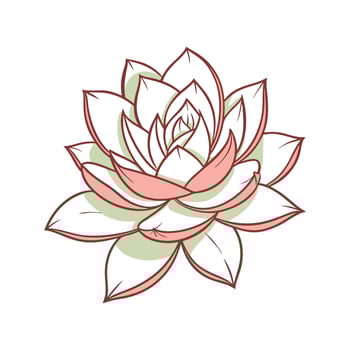 Colorful Echeveria Agavoides on White vector