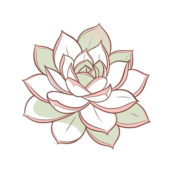 Beautiful Echeveria Lola Plant Design vector