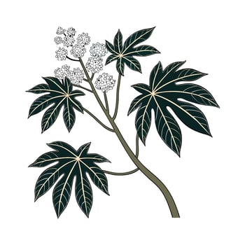 Elegant Fatsia Display on White vector