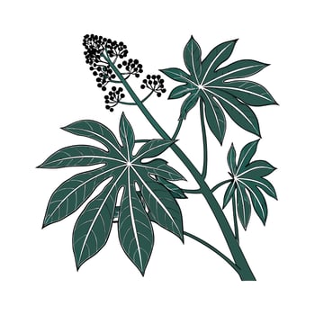 Vibrant Fatsia Plant on Clean White vector