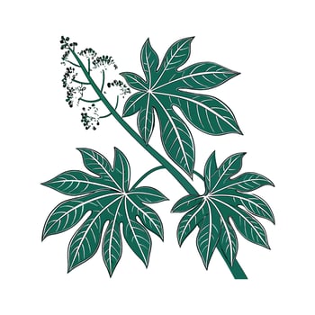 Beautiful Fatsia on Bright White vector