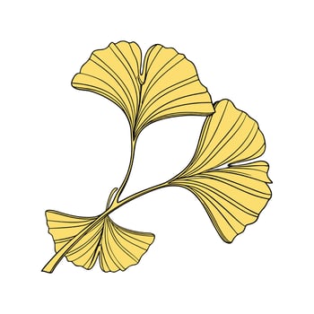 Charming Ginkgo Biloba Plant Artistic Illustration vector