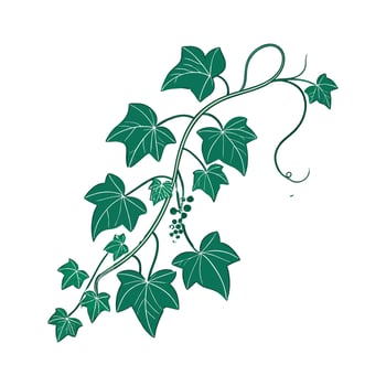 Charming Grape Ivy Unique Design vector