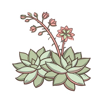 Stunning Graptopetalum Design vector